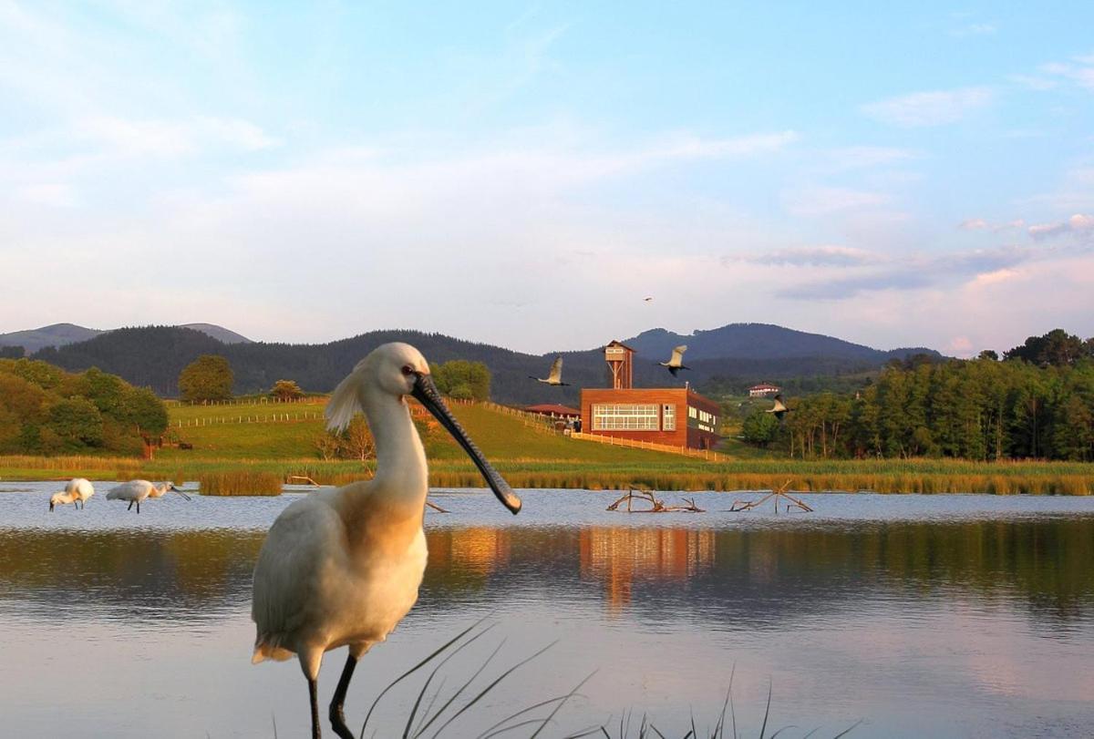 Adosado En La Costa Con Excelentes Vistas Al Estuario De Urdaibai Vila Mundaca Exterior foto
